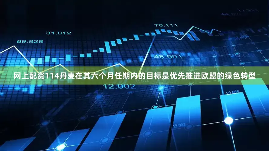 网上配资114丹麦在其六个月任期内的目标是优先推进欧盟的绿色转型