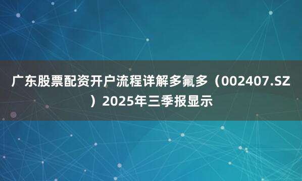 广东股票配资开户流程详解多氟多（002407.SZ）2025年三季报显示